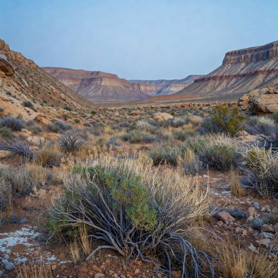 Desert Canyon Landscape at Sunset