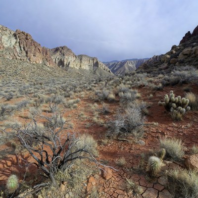 Red Rock Desert Canyon Landscape