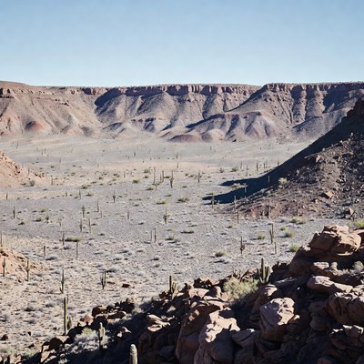 Cactus Desert Landscape with Red Rock Canyons