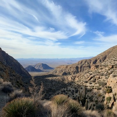 Desert Canyon with Cacti and Mountains