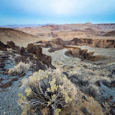 Desert Canyon Landscape with Shrubs