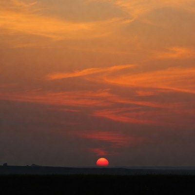 Sunset over grassy field