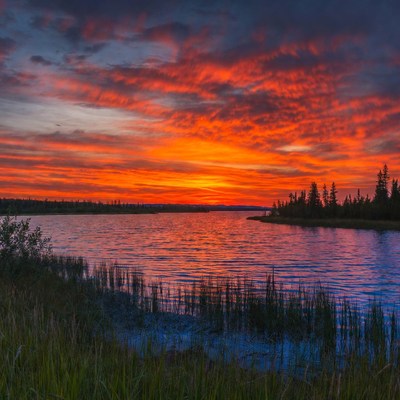 Vibrant Sunset Over Lake with Trees