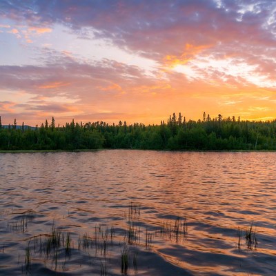 Sunset over lake with pine forest