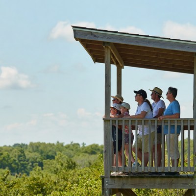 Group standing on wooden observation deck