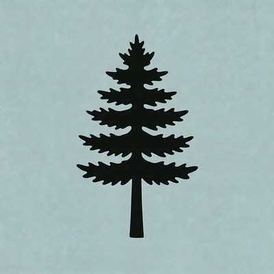 Black silhouette pine tree