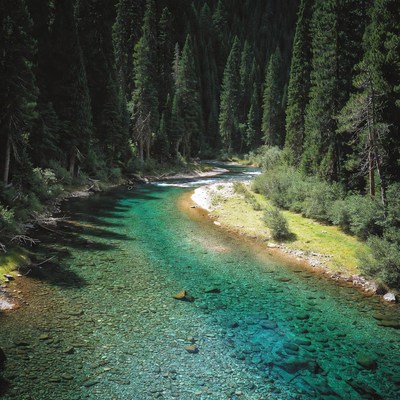Turquoise River in Dense Forest