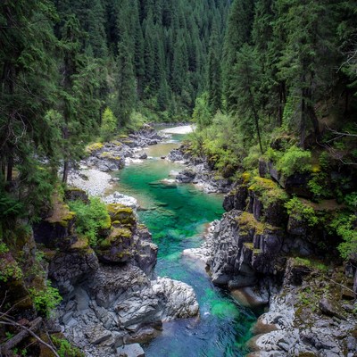 Turquoise River in Forest Canyon
