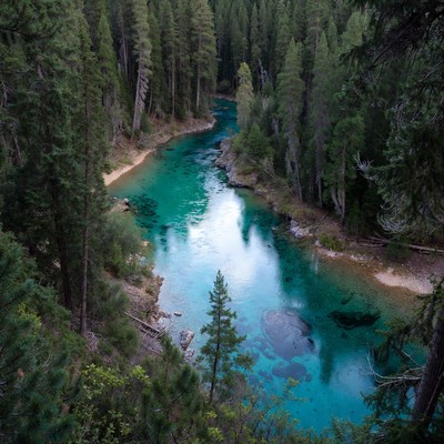 Turquoise River in Dense Forest