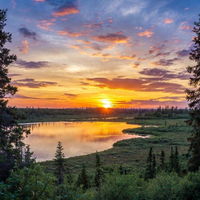 Sunset over lake with pine trees