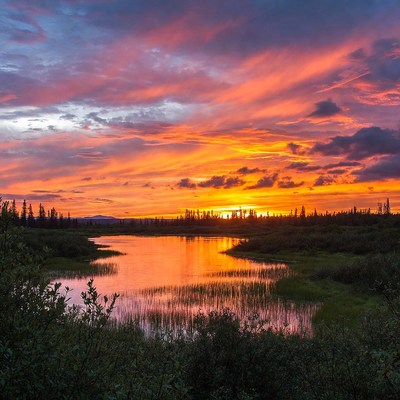Vibrant Sunset Over Marsh Lake