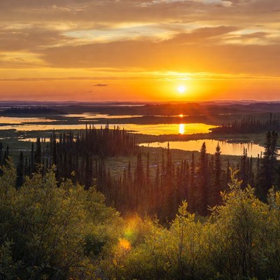 Sunset over wetland forest landscape