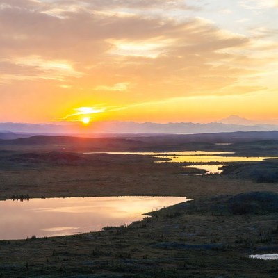 Sunrise over Mount Rainier wetlands