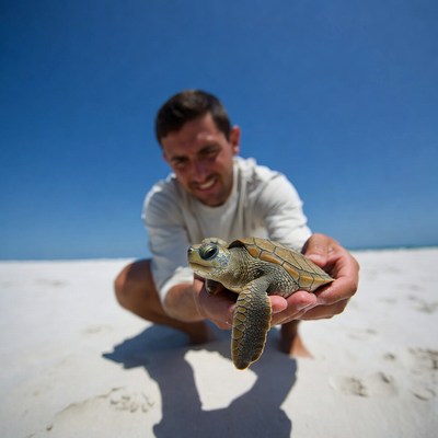 Man holding baby sea turtle on beach