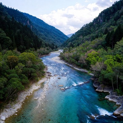 Turquoise River in Forested Valley