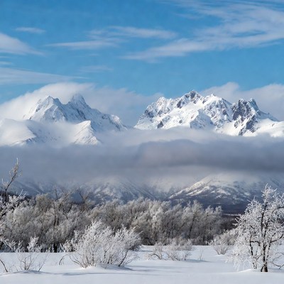 Snowy Mountains with Frosted Trees