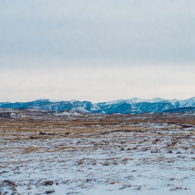 Snowy Mountains Over Grassy Plain