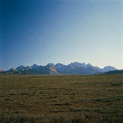 Snow-capped Mountains Over Grassland