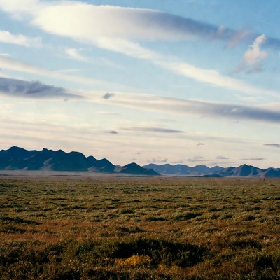 Mountains over vast grassy plain