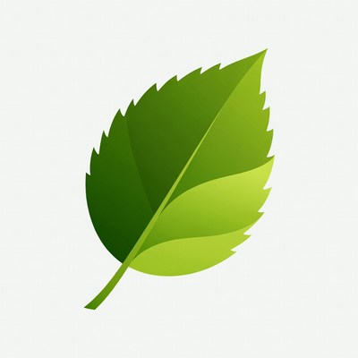 Green Leaf Illustration