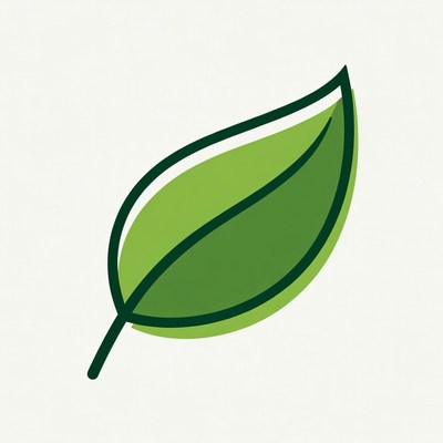 Green Leaf Illustration