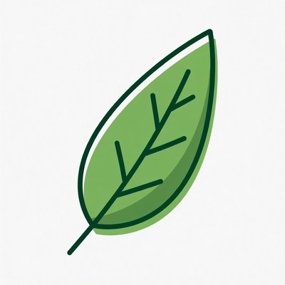 Green Leaf Illustration