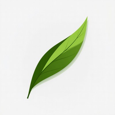 Green Leaf Illustration