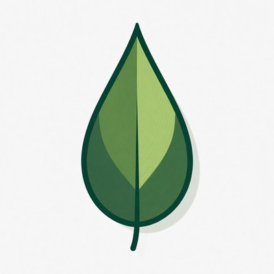 Green Leaf Illustration