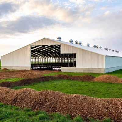 White barn with turkeys in field