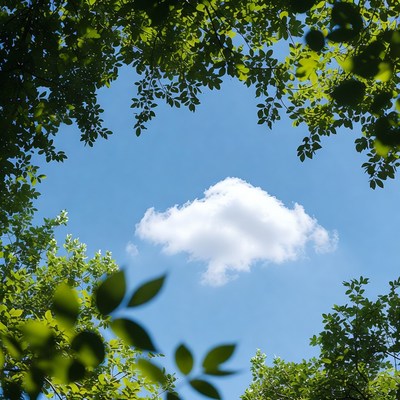 Cloud framed by green tree leaves