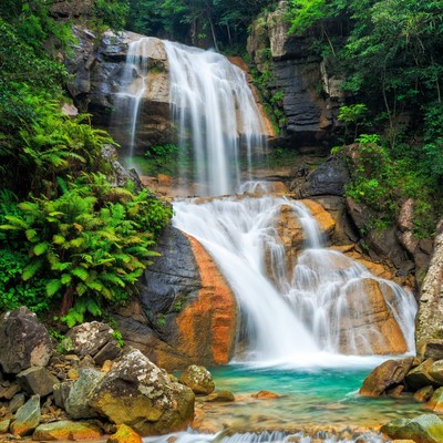 Majestic waterfall cascading in lush forest