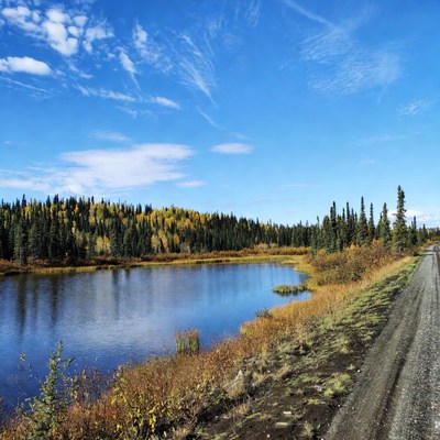 Autumn Forest Lake with Dirt Road