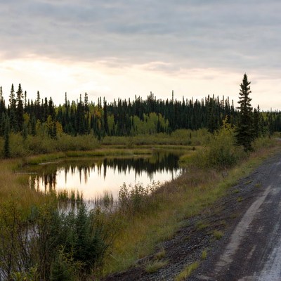 Autumn Forest Pond with Dirt Road