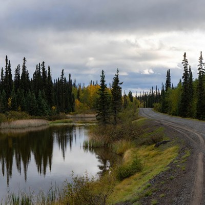 Gravel Road by Autumn Forest Lake