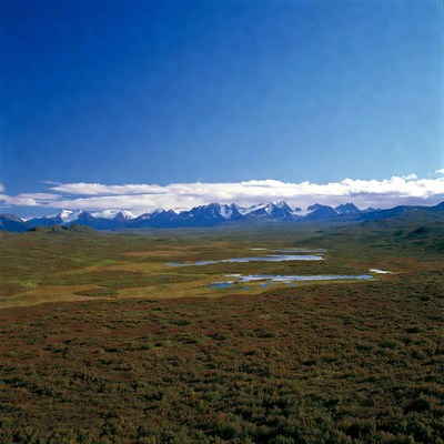 Snowy Mountains Over Tundra Valley