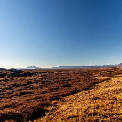 Vast brown tundra under blue sky