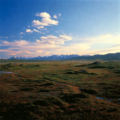 Snowy Mountains Over Tundra Plain