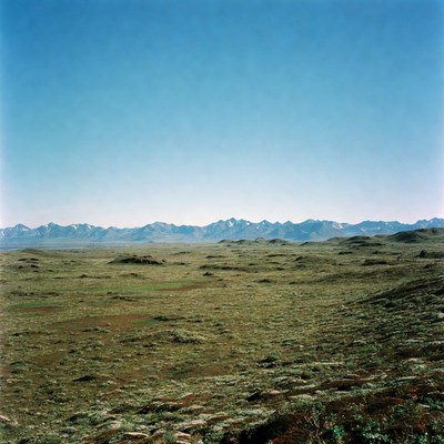 Vast Grassland with Distant Mountains