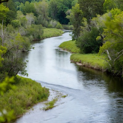 Serene River Winding Through Forest