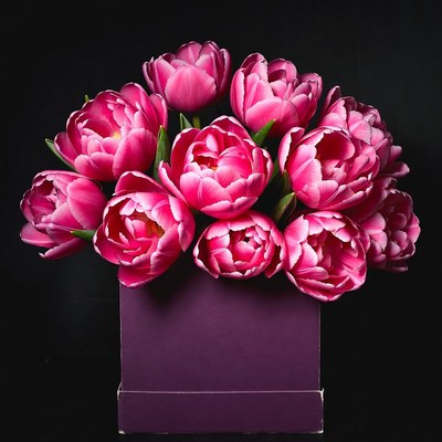 Pink Tulips in Purple Box