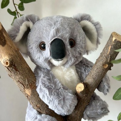 Plush Koala on Wooden Branch