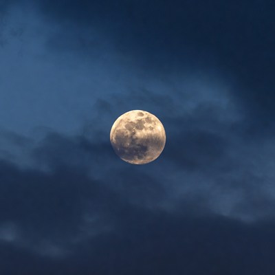 Full Moon in Night Sky