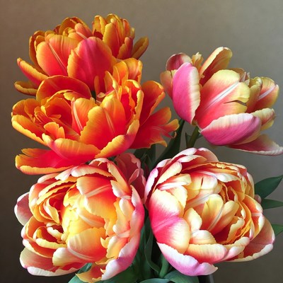 Vibrant Orange and Pink Tulips Bouquet