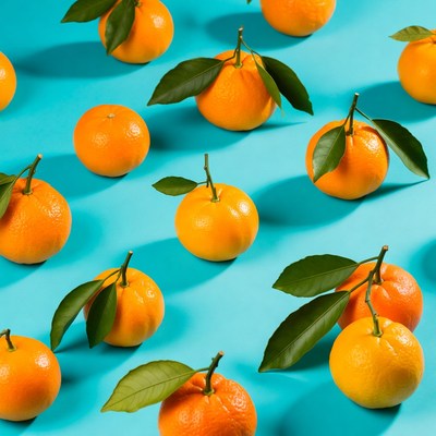 Oranges with Leaves on Blue Background