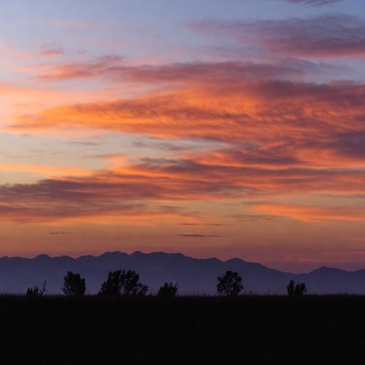 Silhouette Trees Mountains Sunset Sky