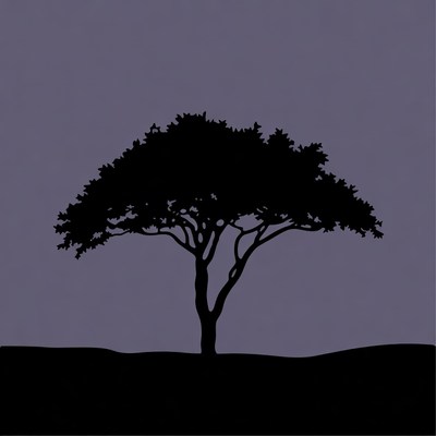 Silhouette of Acacia Tree
