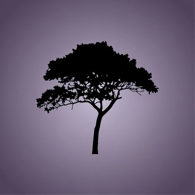 Black Silhouette Tree on Purple Background