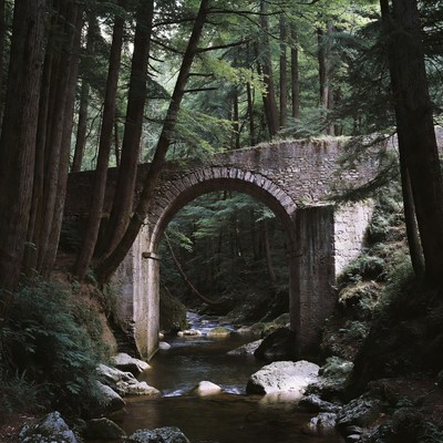 Stone Arch Bridge in Lush Forest