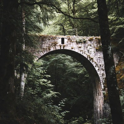 Mossy Stone Arch Bridge in Forest