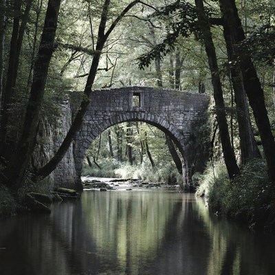 Stone Arch Bridge over Forest River